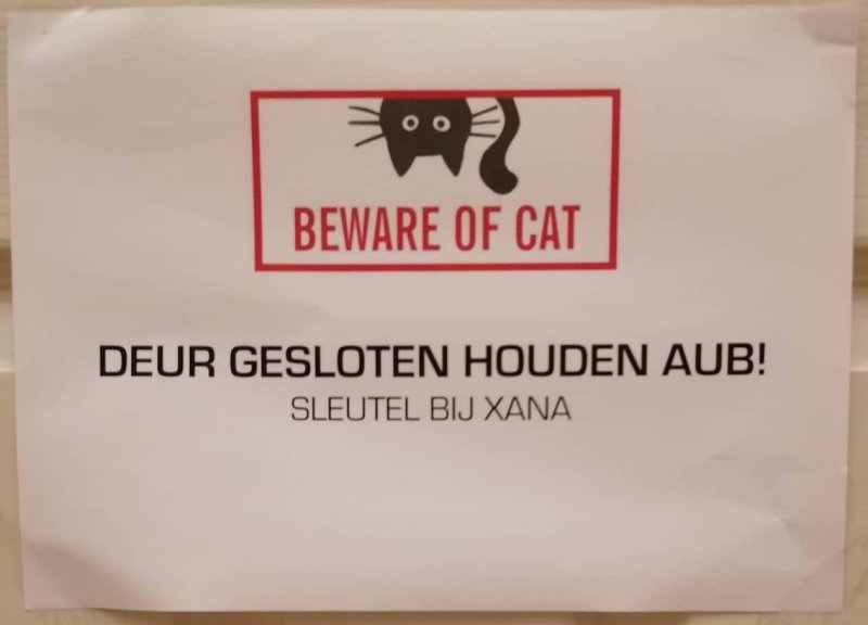 130843930-232656371544767-906769814872553801-o