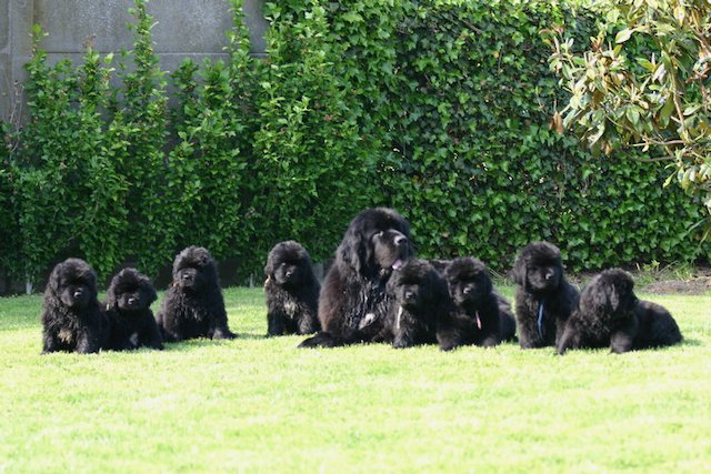 27867-1379065808657-1592264380-919808-3911080-n