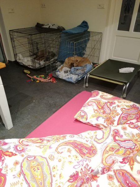 6b662f44-269b-41a2-b0d6-586cb99691f4