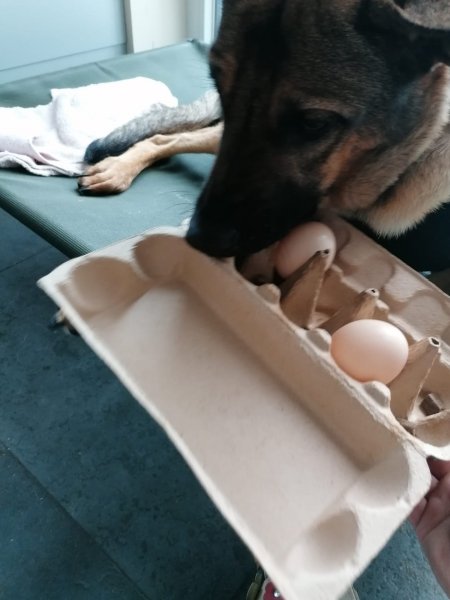 85dcb14a-e67b-4b87-b82f-029ab3b38f0e