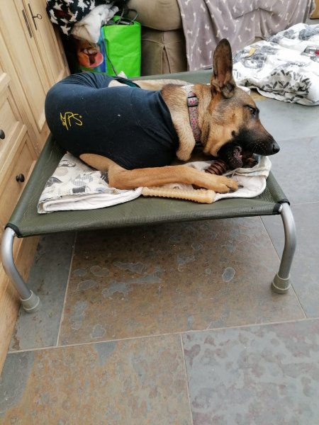 9289f74b-b21b-4a8a-8e99-df8c855551b7