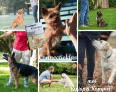 Connectieklas groepsles + Kwispel Kompas