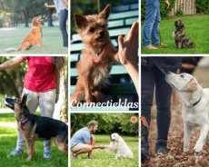 Connectieklas groepsles (vanaf 8 mnd)